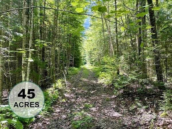 45 Acres of Recreational & Residential Land for Sale in East Haven, Vermont