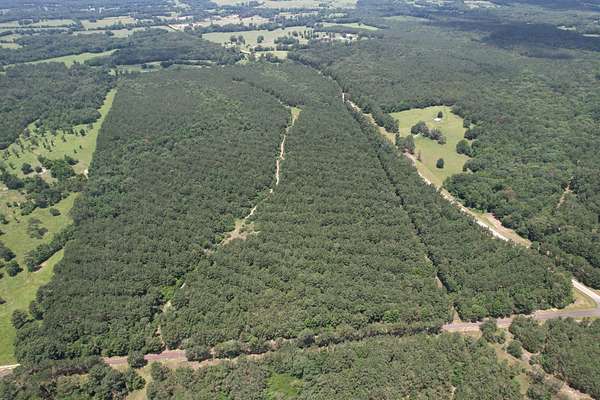 148 Acres of Recreational Land for Sale in Gary, Texas