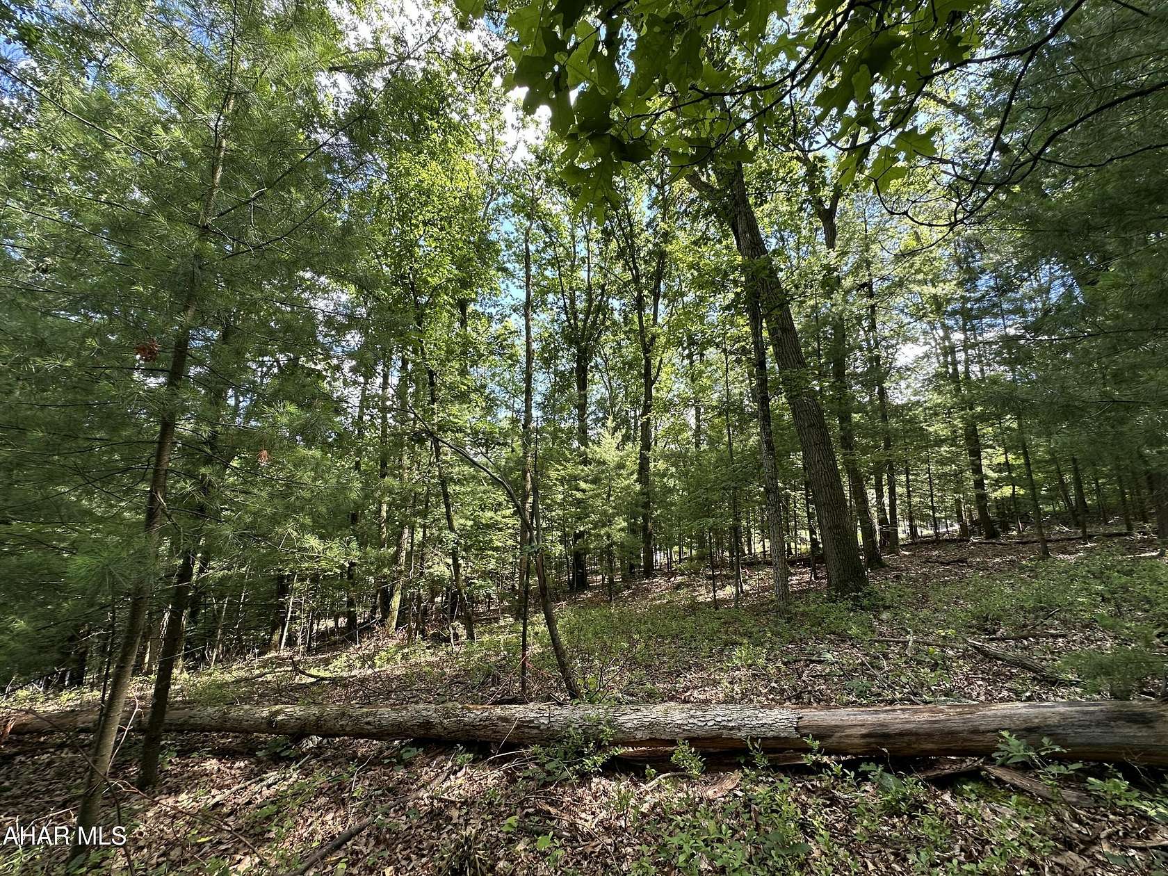 0.98 Acres of Land for Sale in Huntingdon, Pennsylvania