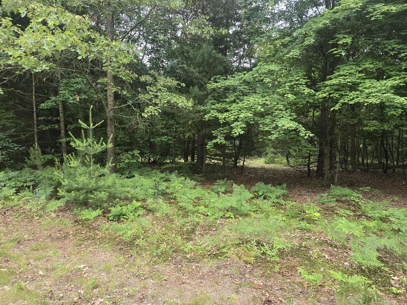 10 Acres of Residential Land for Sale in Shelby, Michigan