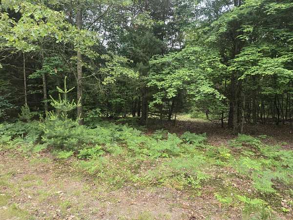 10 Acres of Residential Land for Sale in Shelby, Michigan