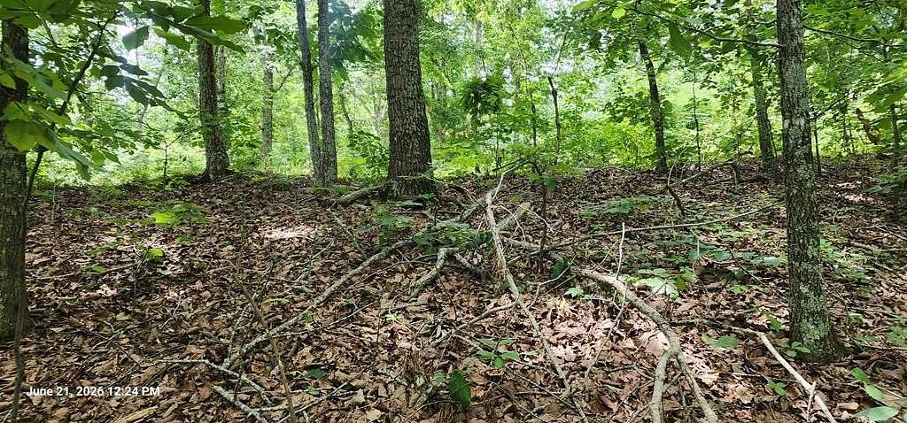 1 Acre of Land for Sale in Holladay, Tennessee