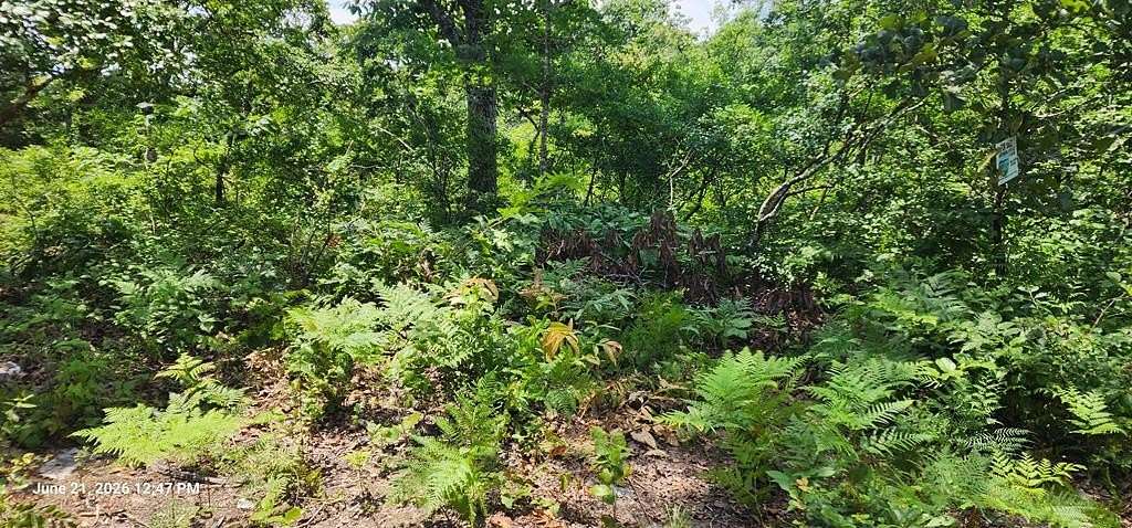 0.36 Acres of Land for Sale in Holladay, Tennessee