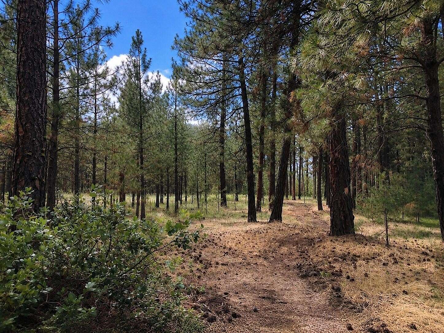 2.4 Acres of Residential Land for Sale in Kettle Falls, Washington