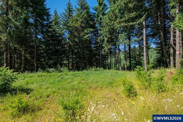 1.3 Acres of Residential Land for Sale in Falls City, Oregon