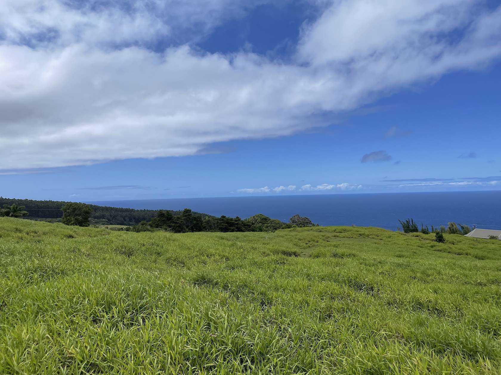 3.6 Acres of Residential Land for Sale in Laupahoehoe, Hawaii