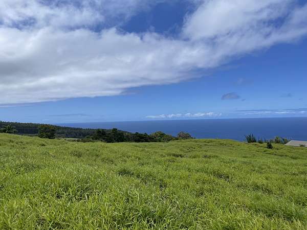 3.6 Acres of Residential Land for Sale in Laupahoehoe, Hawaii