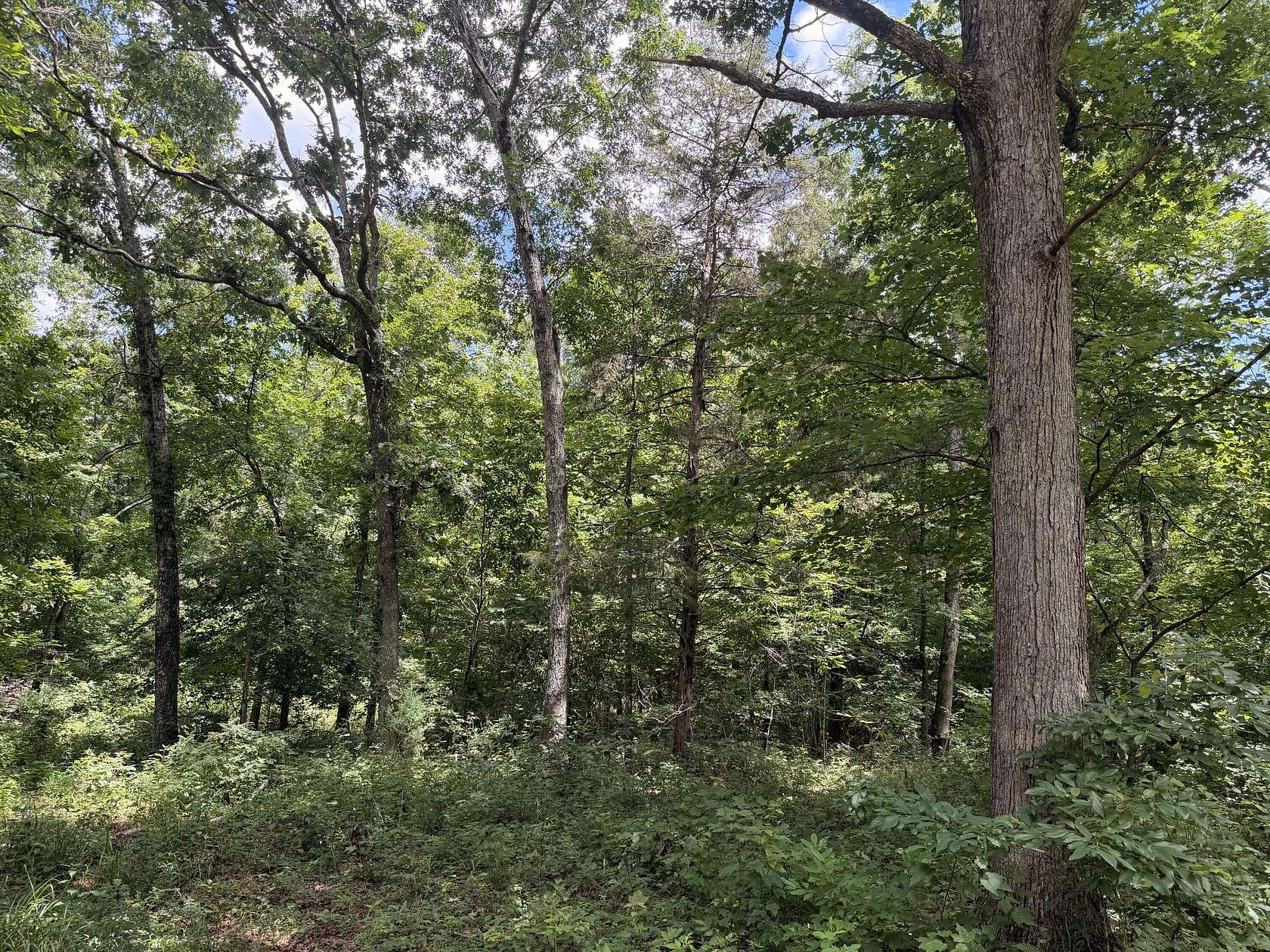 10 Acres of Recreational & Residential Land for Sale in Birch Tree, Missouri