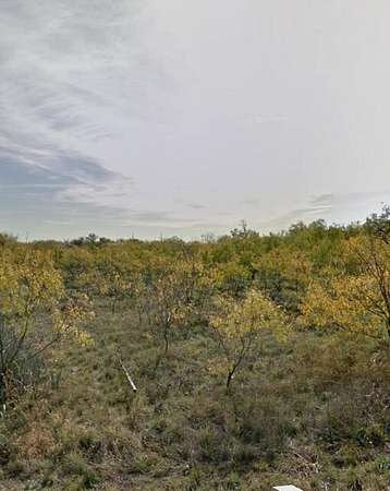0.53 Acres of Residential Land for Sale in Miles, Texas