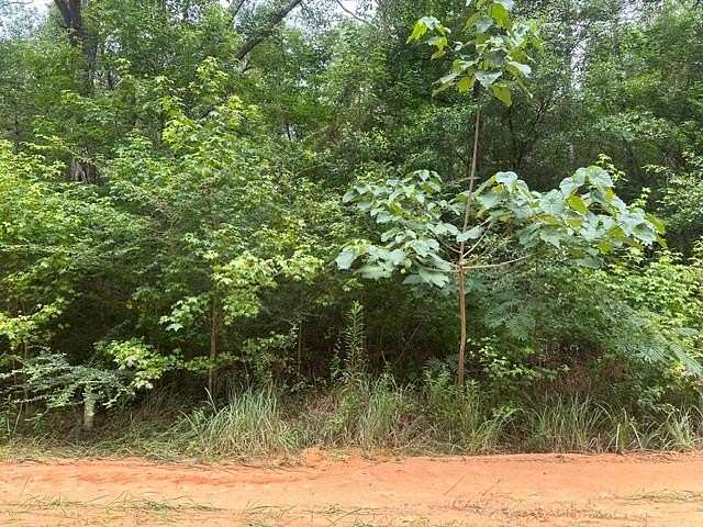 0.25 Acres of Residential Land for Sale in Lumberton, Mississippi