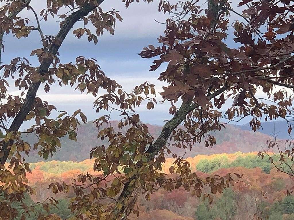 1.46 Acres of Residential Land for Sale in Brasstown, North Carolina