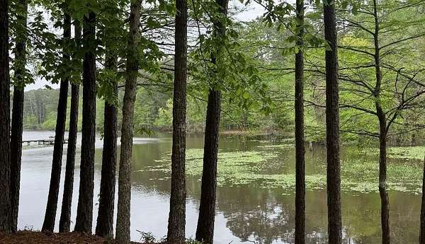 0.83 Acres of Residential Land for Sale in Hemphill, Texas