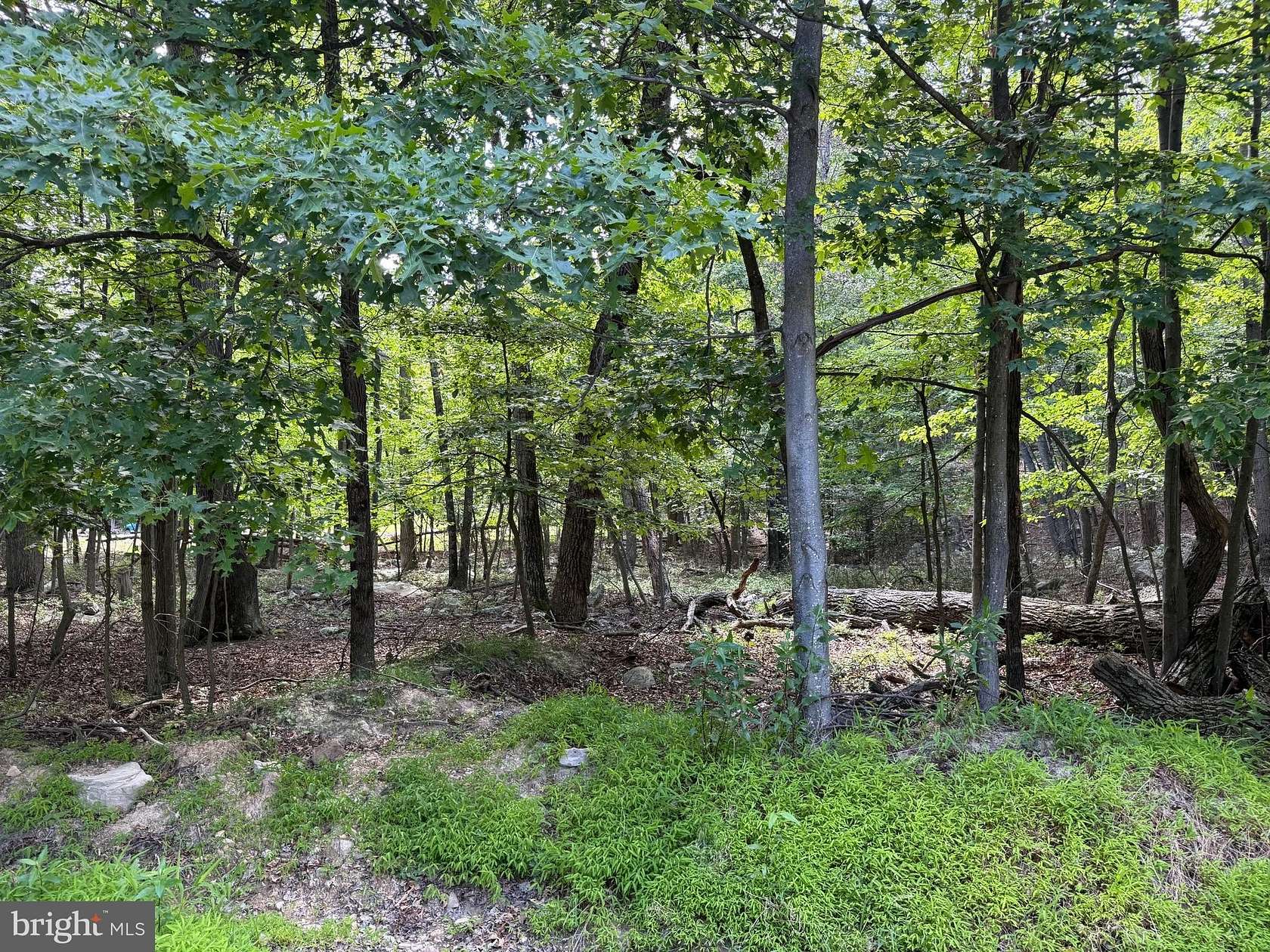 5.25 Acres of Residential Land for Sale in Great Cacapon, West Virginia