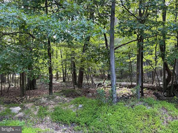 5.25 Acres of Residential Land for Sale in Great Cacapon, West Virginia