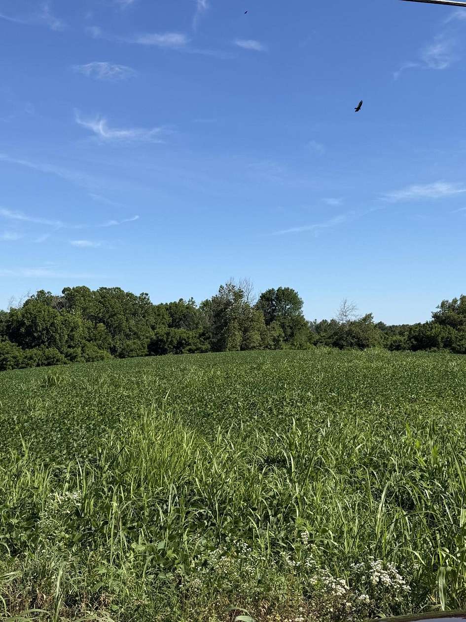 90.4 Acres of Land for Sale in Flemingsburg, Kentucky