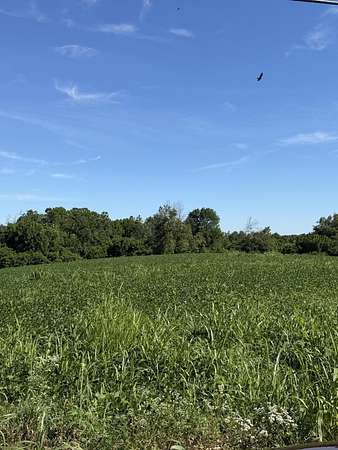 90.4 Acres of Land for Sale in Flemingsburg, Kentucky