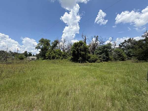 1 Acre of Residential Land for Sale in Madison, Florida