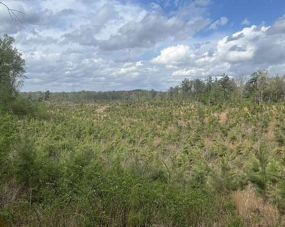 107 Acres of Recreational Land for Sale in Carrollton, Mississippi