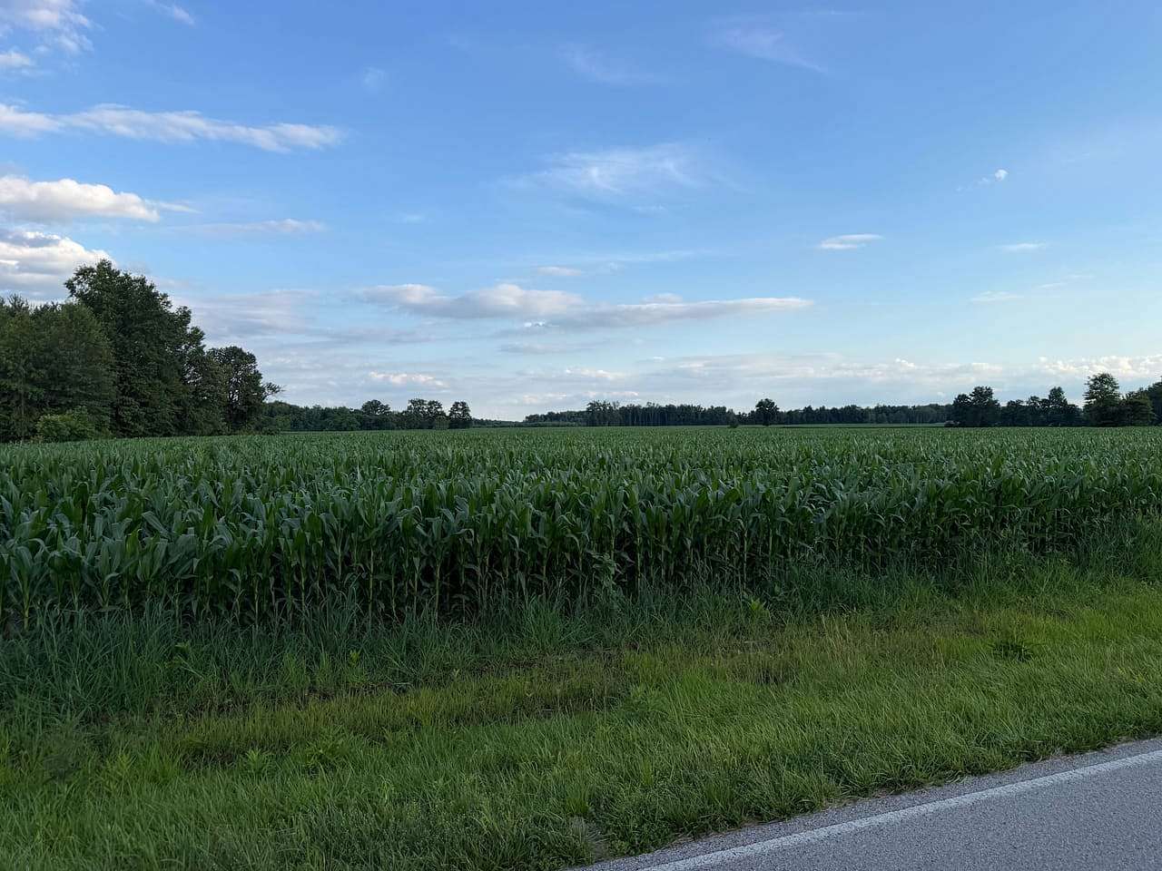 142 Acres of Land for Sale in Bethel, Ohio