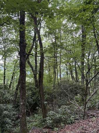 4.53 Acres of Residential Land for Sale in Sapphire, North Carolina