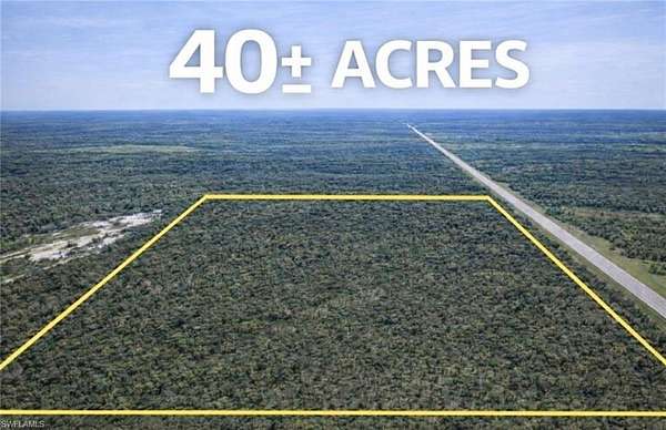 40 Acres of Land for Sale in Punta Gorda, Florida