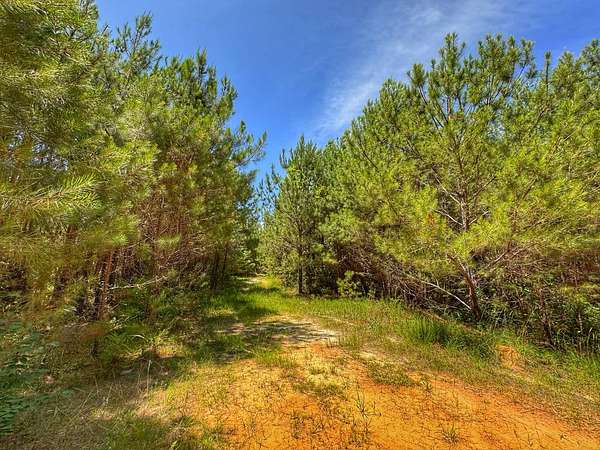 47 Acres of Recreational Land for Sale in Cuba, Alabama