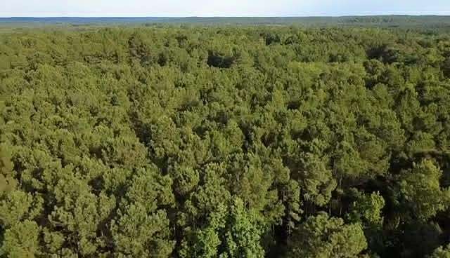 2.8 Acres of Residential Land for Sale in Ozark, Alabama