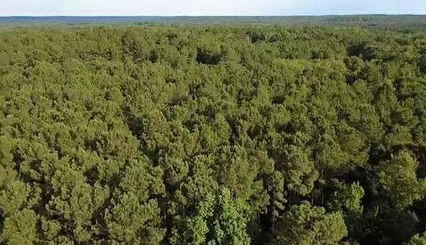 2.8 Acres of Residential Land for Sale in Ozark, Alabama