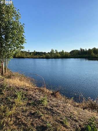 2 Acres of Mixed-Use Land for Sale in Toledo, Washington