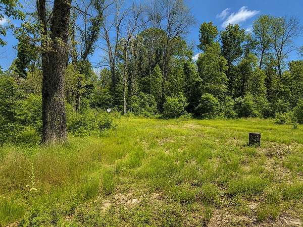 0.27 Acres of Residential Land for Sale in Idlewild, Michigan