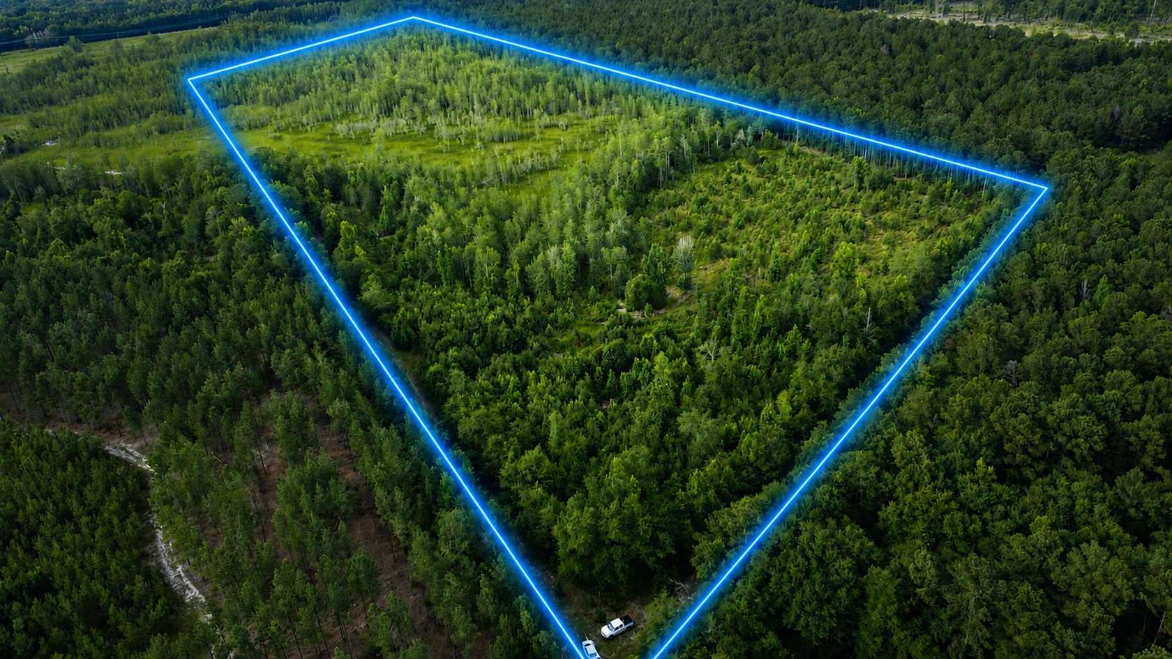 42.6 Acres of Recreational Land for Sale in Barnwell, South Carolina