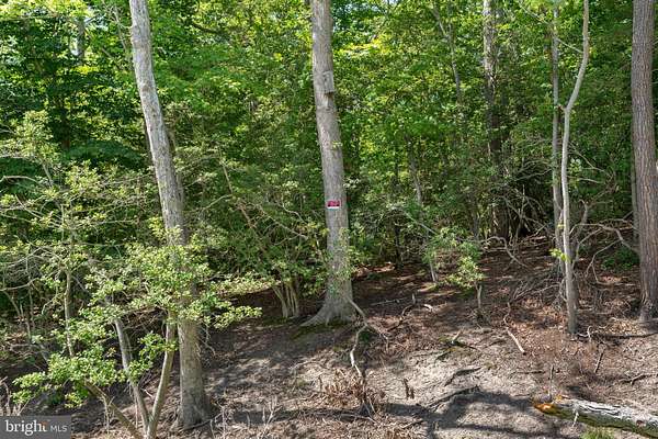 0.64 Acres of Land for Sale in Lusby, Maryland