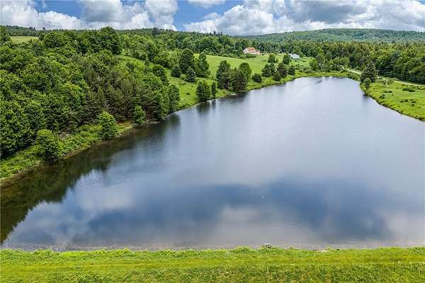 37 Acres of Recreational Land with Home for Sale in Jefferson, New York