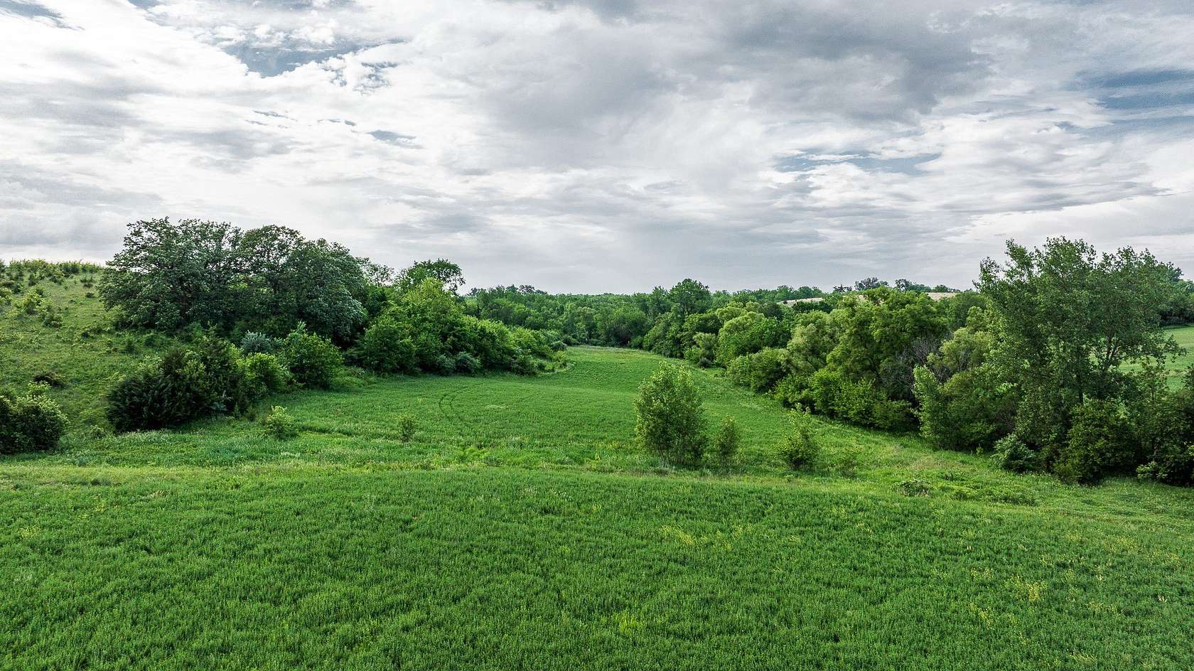40 Acres of Land for Sale in Milo, Iowa