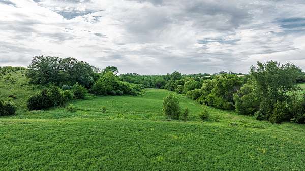 40 Acres of Land for Sale in Milo, Iowa