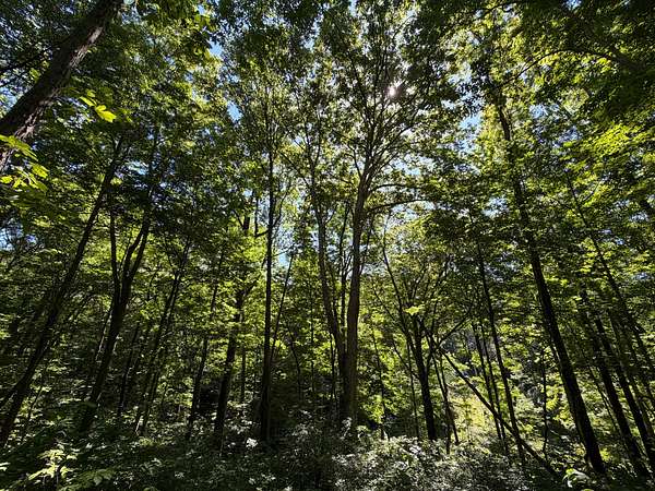 1.32 Acres of Land for Sale in Bedford, Indiana