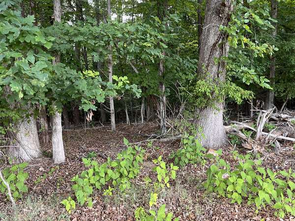 1.68 Acres of Residential Land for Sale in Moneta, Virginia