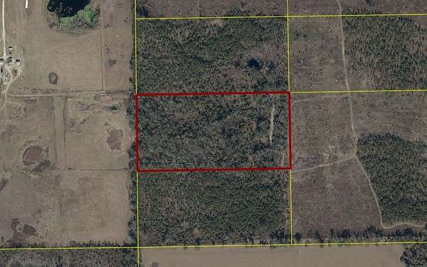 20 Acres of Recreational Land for Sale in Live Oak, Florida