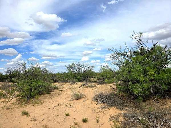 40 Acres of Land for Sale in Imperial, Texas