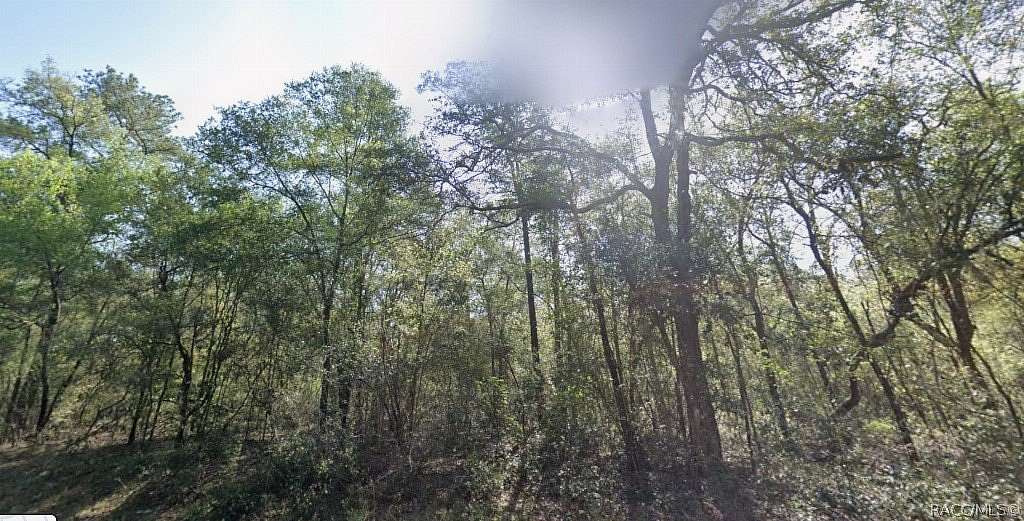 0.23 Acres of Residential Land for Sale in Dunnellon, Florida