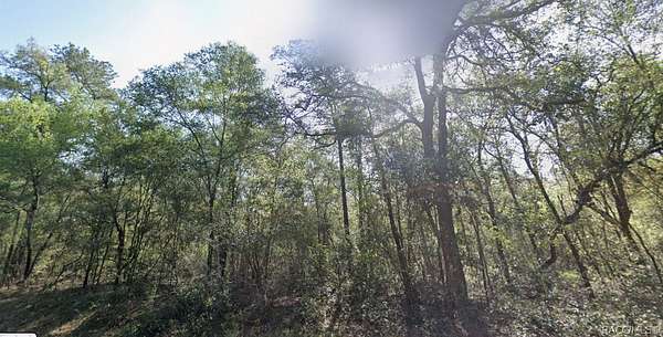 0.23 Acres of Residential Land for Sale in Dunnellon, Florida