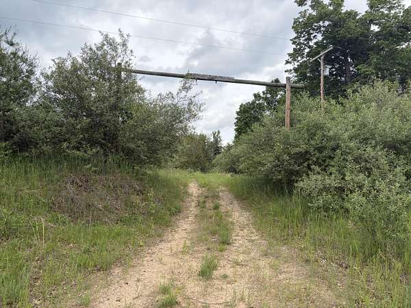 10 Acres of Recreational Land for Sale in Fairview, Michigan