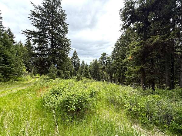80.7 Acres of Recreational & Residential Land for Sale in Oroville, Washington