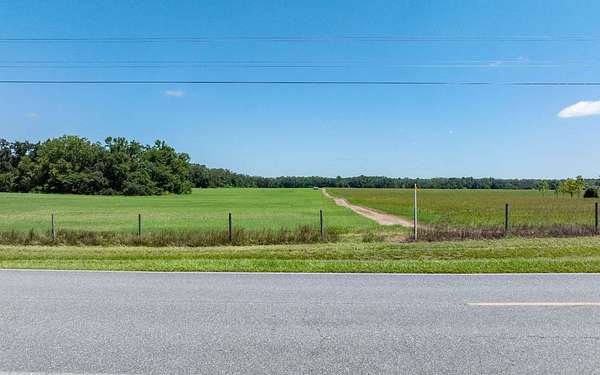 18.6 Acres of Land for Sale in McAlpin, Florida