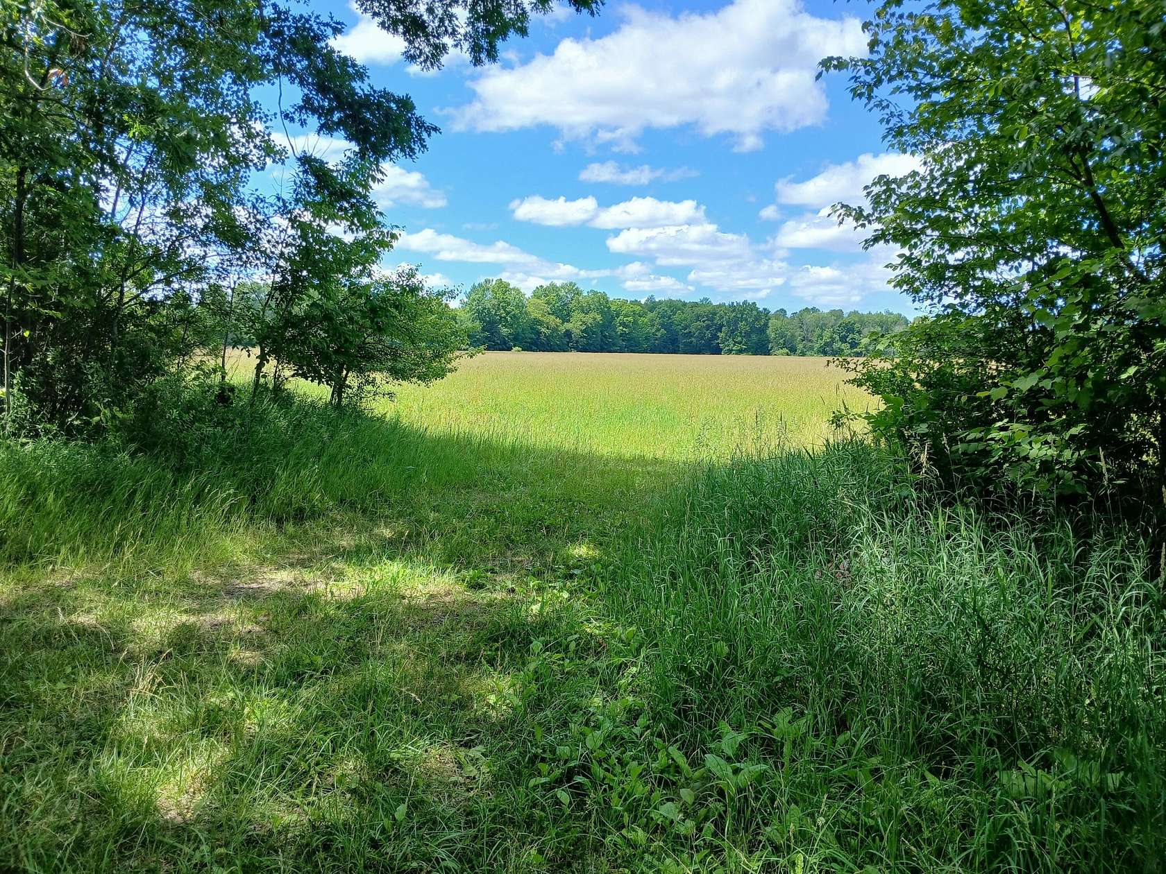 20 Acres of Agricultural Land for Sale in Custer, Michigan