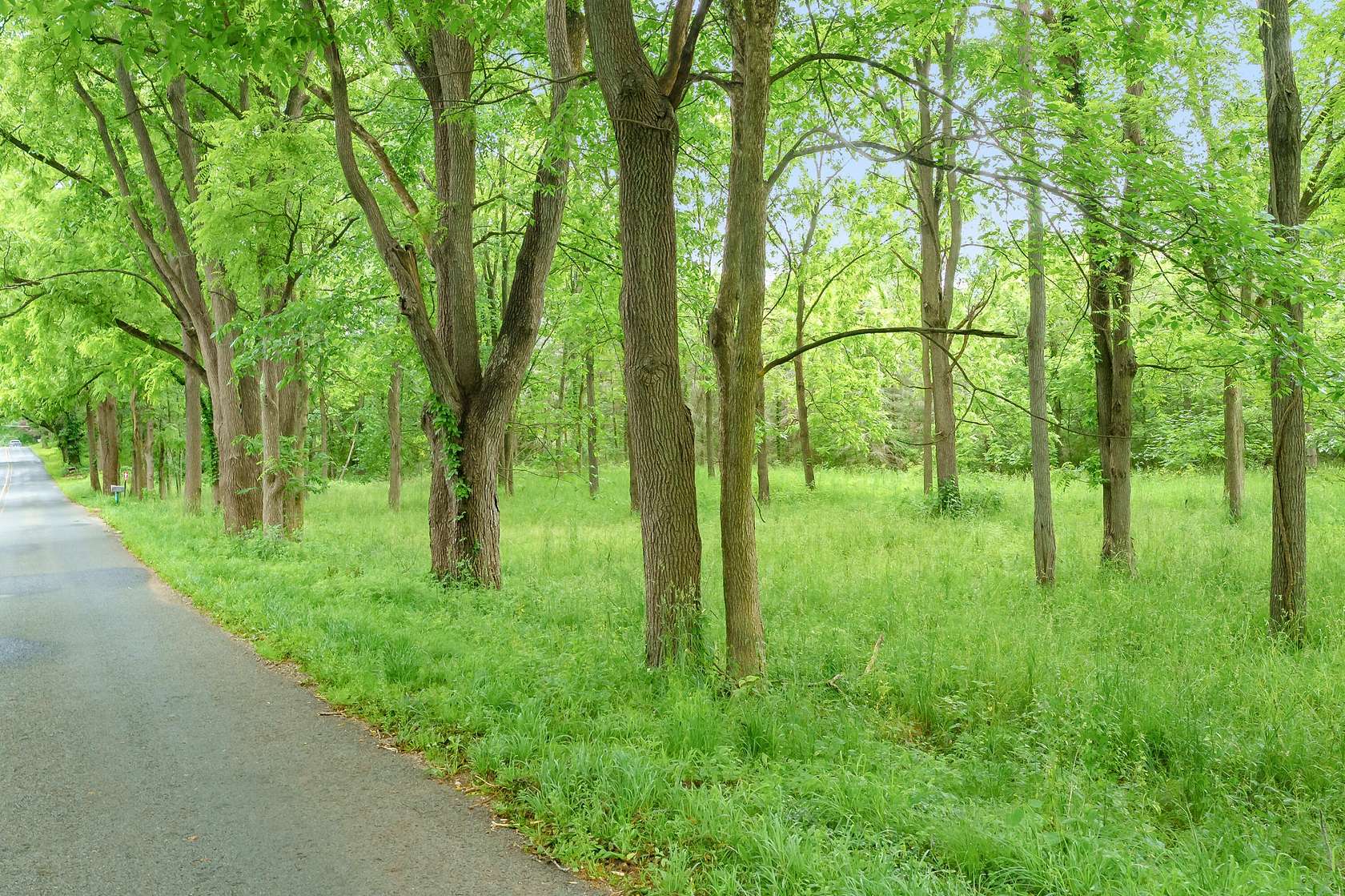 7.27 Acres of Residential Land for Sale in Kalamazoo, Michigan