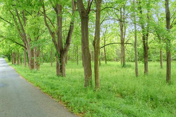 7.27 Acres of Residential Land for Sale in Kalamazoo, Michigan