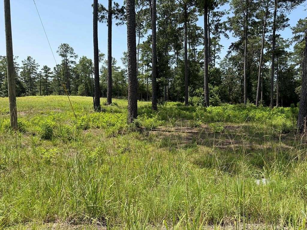 1 Acre of Residential Land for Sale in Brookeland, Texas