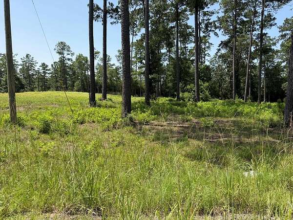 1 Acre of Residential Land for Sale in Brookeland, Texas