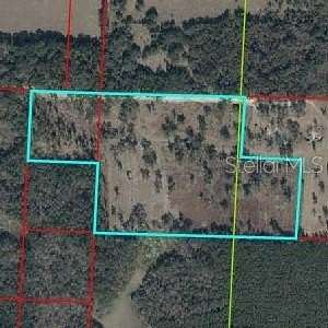 60 Acres of Agricultural Land for Sale in Williston, Florida